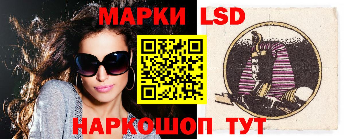 Галлюциногенные грибы Карачаевск