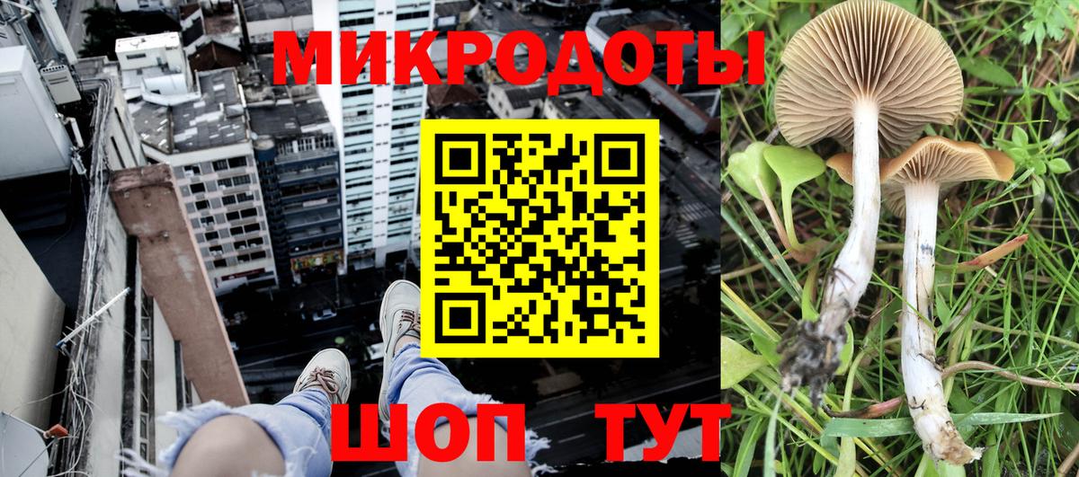 цены   Галлюциногенные грибы Psilocybe  Вход с VPN  Карачаевск 